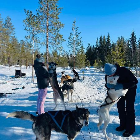 Saeterasen Hytter & Camping Трюсил Екстериор снимка