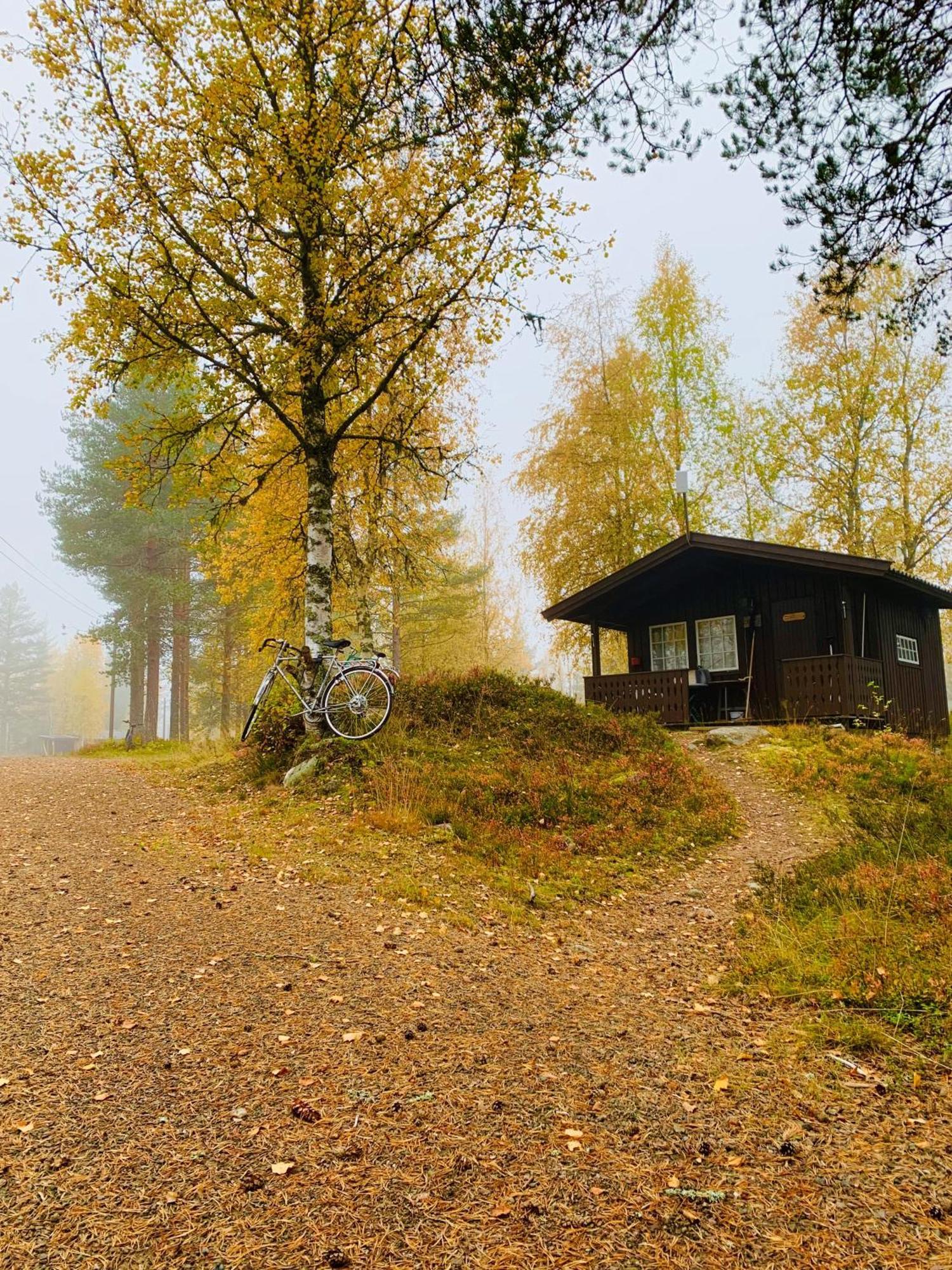 Saeterasen Hytter & Camping Трюсил Екстериор снимка