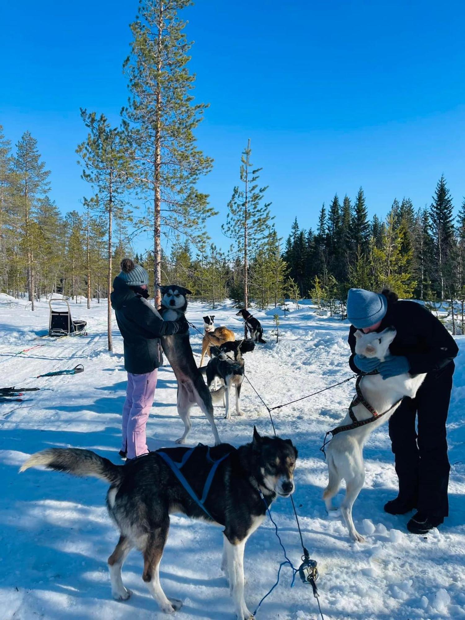 Saeterasen Hytter & Camping Трюсил Екстериор снимка