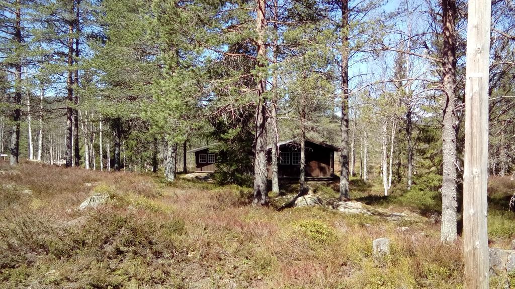 Saeterasen Hytter & Camping Трюсил Екстериор снимка