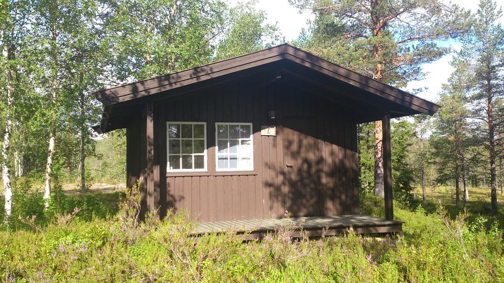 Saeterasen Hytter & Camping Трюсил Екстериор снимка