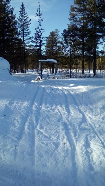 Saeterasen Hytter & Camping Трюсил Екстериор снимка