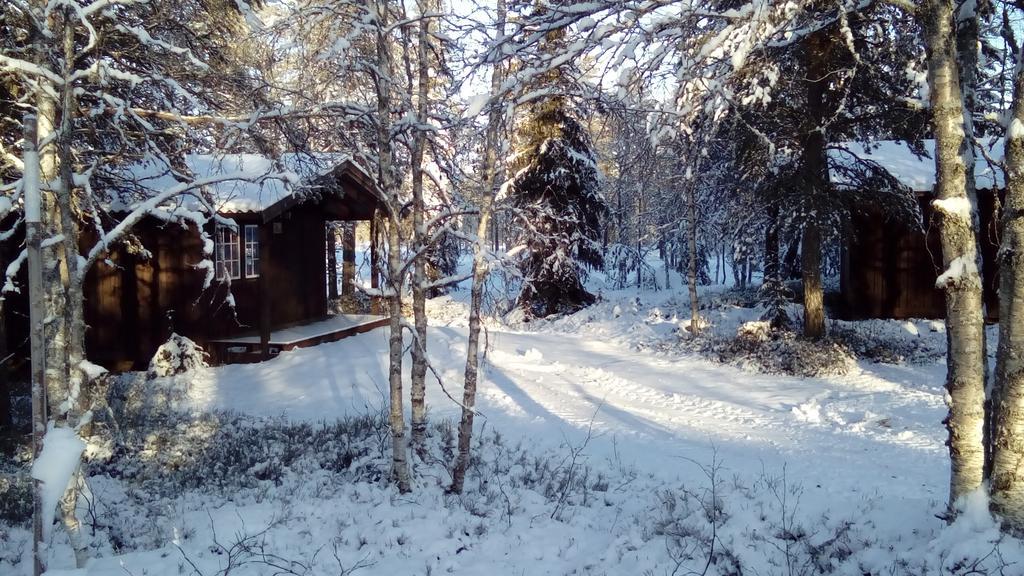 Saeterasen Hytter & Camping Трюсил Екстериор снимка