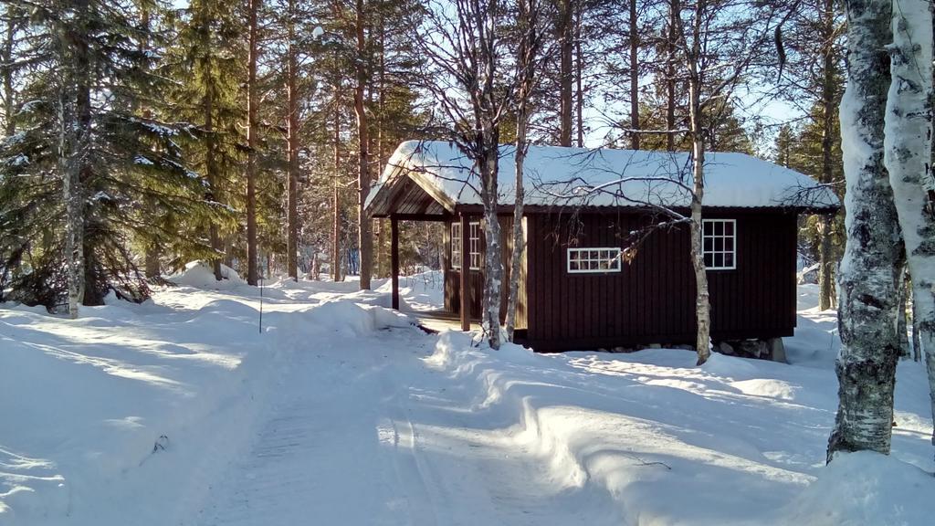 Saeterasen Hytter & Camping Трюсил Екстериор снимка