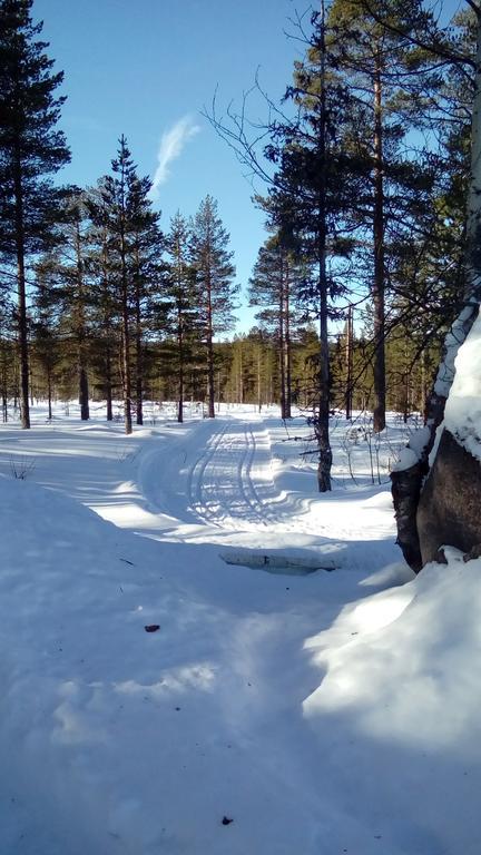 Saeterasen Hytter & Camping Трюсил Екстериор снимка