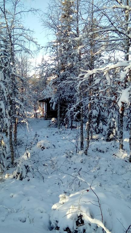 Saeterasen Hytter & Camping Трюсил Екстериор снимка