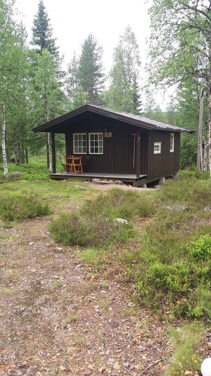Saeterasen Hytter & Camping Трюсил Екстериор снимка